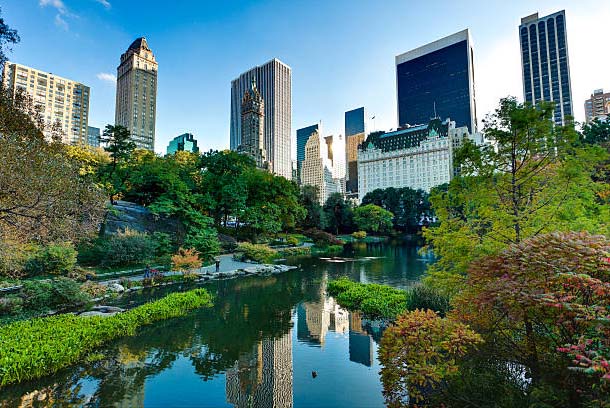A self guided Central Park walking tour